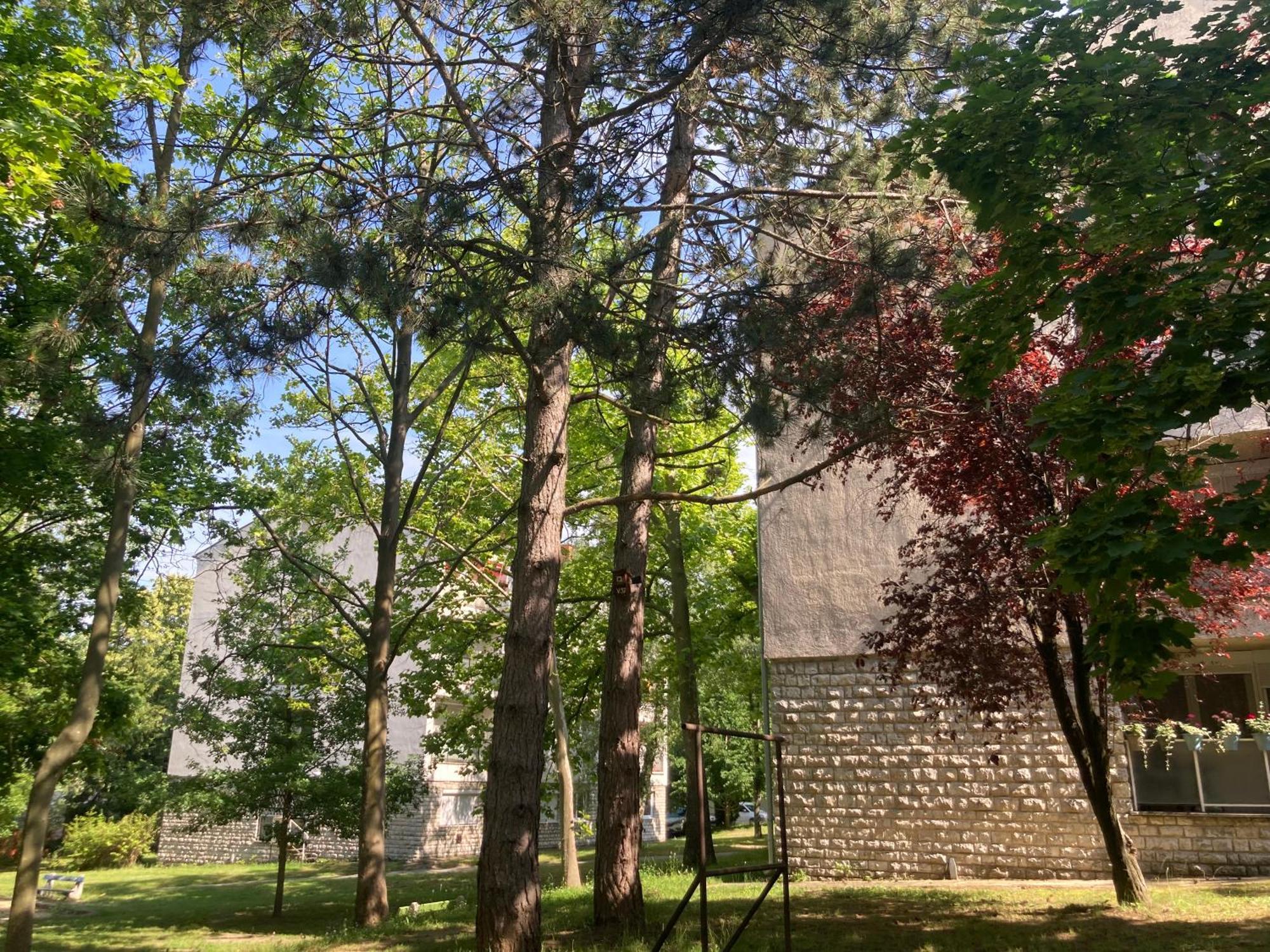 Oazis Apartman Veszprem Luaran gambar