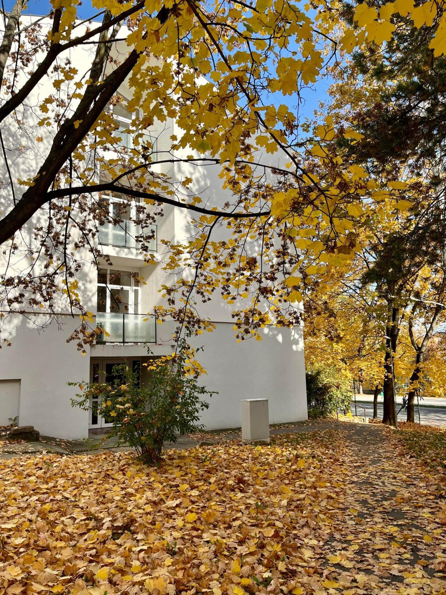 Oazis Apartman Veszprem Luaran gambar